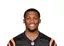 Tee Higgins