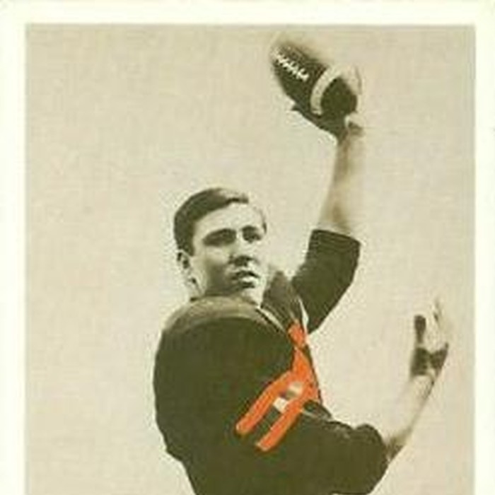Bill Peterson